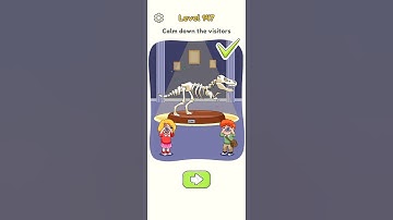 Dop 5 level 147-148 Gameplay complete walkthrough solutions