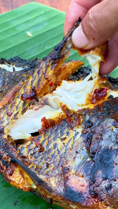 IKAN BAKAR BUMBU PEDAS MANIS DI TEPI SUNGAI #outdoorcooking #asmr