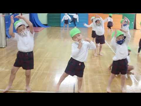 【三郷市】準備体操【幼稚園】みさと幼稚園