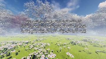 Yousef Waly - Surah Al Bakarah (229-231) | سورة البقرة - أيات الطلاق