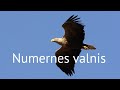 Numernes valnis (прогулка на мотоцикле)