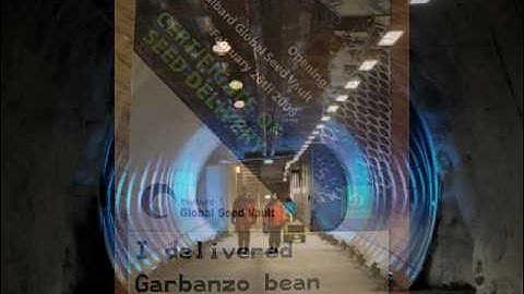 Probing Question: What is seed banking?