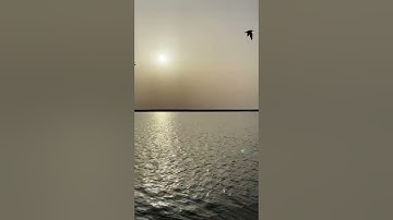 سورة إبراهيم- الآيات (32-33)