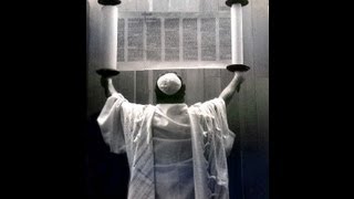Tehilim Salmos 16 32 41 42 59 77 90 105137 E 150 Traduo