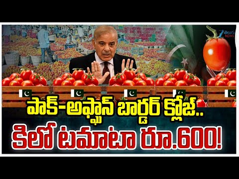 Tensions Rise Again on Pak-Afghan Border | Tomato prices soar to Rs 600 per kg in Pakistan |Zee News
