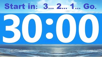 30 Minute Countdown Timer. -Beep & Time Remaining at Each Minute NO ADS DURING TIMER -No Music