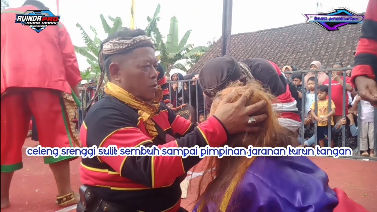 celeng srenggi sulit sembuh sampai pimpinan jaranan turun tangan - chalung kencono 