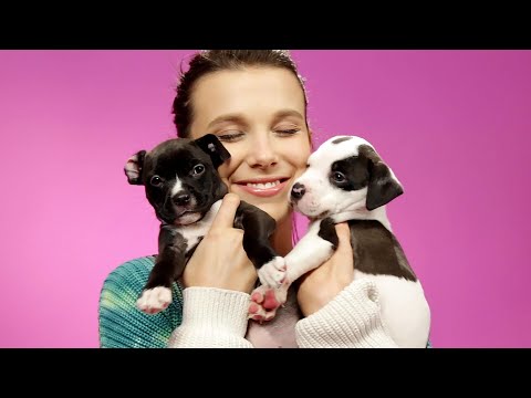 Millie Bobby Brown Plays With Puppies While Answering Fan Questions