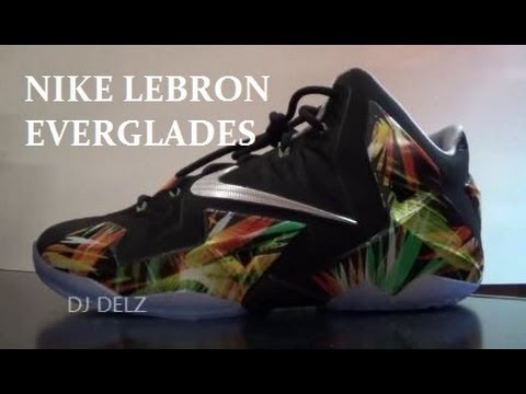 Nike Lebron 11 Everglades Shoe Detailed Review With Dj Delz @Djdelz + On  Feet Sneaker Addict Show - Youtube