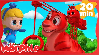 Animal Hypno Mixup |Cartoons for Kids! | Morphle | Moonbug Kids - Girl Power! 🌸🌺🌸