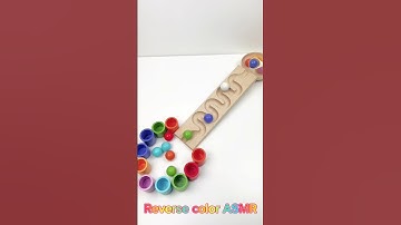 Reverse Color Sorting Marble Run ASMR #asmr