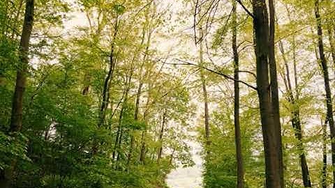 القارئ عبد الله الكندري سورة الحاقة Surah Al-Haqqah Abdullah Al Kandari