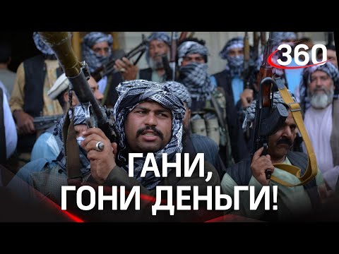 Гани, гони деньги: талибы - экс-президенту Афганистана