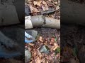 Satisfying Big Pipe Clearing