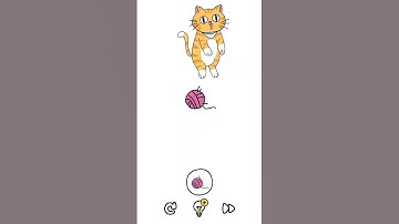 Play with the Cat ??? [Level #13]