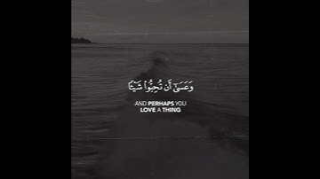 ما تسير من سورة البقرة #مشاري_العفاسي #سورة_البقرة #تبصرة #تلاوات #قران_الكريم #حالات #quran #قران