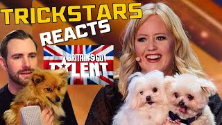 Britain’s got talent dog act, the Trickstars