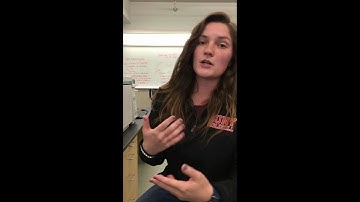 Instrumentation: GC-MS Overview