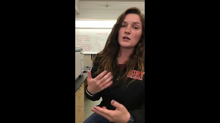 Instrumentation: GC-MS Overview