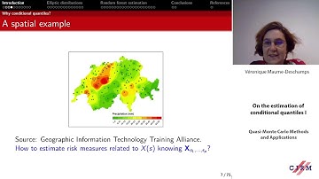 Véronique Maume-Deschamps: On the estimation of conditional quantiles I