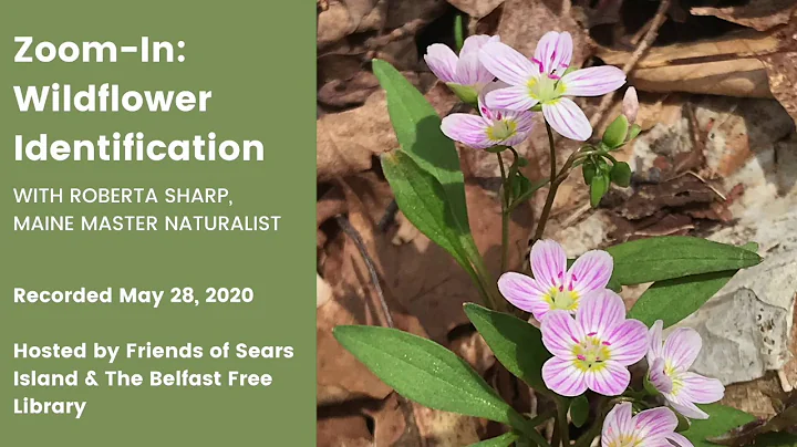 Wildflower Identification Presentation with Robert...