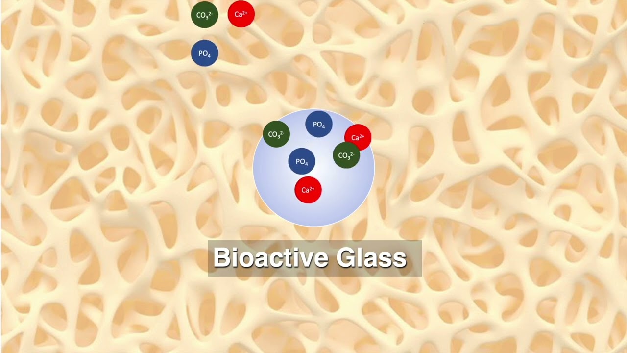 BioGLAS Senior Design Video