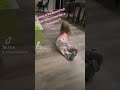 Partially paralyzed Girl, with Spina Bifida army crawls very fast! #spinabifidaawareness