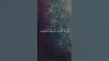 مشاري العفاسي 