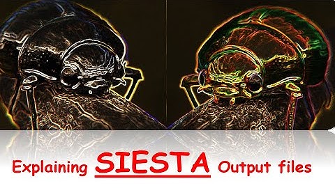 Lecture9 Materials Modelling & Simulation SIESTA output file