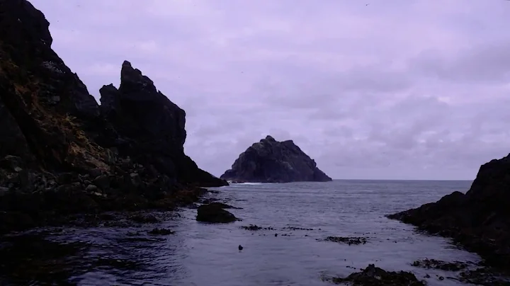 Highlights-Diego Ramirez Islands, Cape Horn, Chile