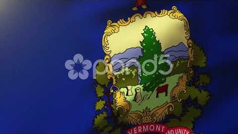 Vermont Flag Waving In The Wind. Looping Sun Rises Style. Animation Loop