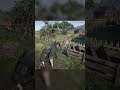 Funny Fighting | Red Dead Redemption 2