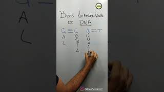 DICA DE BIOLOGIA - Bases Nitrogenadas do DNA