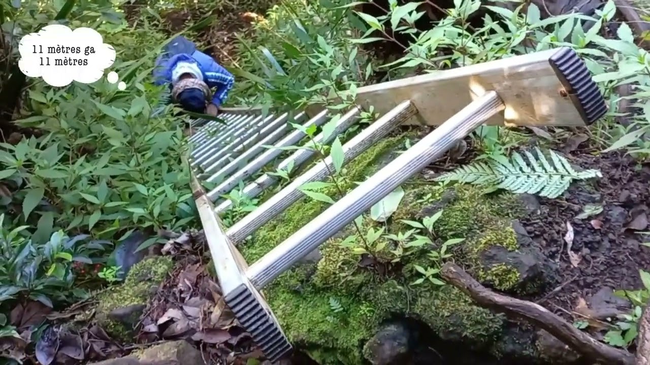 Sentier Takamaka par la Plaine des Palmistes #974 #randonnée #aventure #découverte #nature #travel