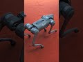 #robotics #robot #roboticdog #dog #pmmodi #cmyogi #greaternoida #indiaexpo #trade #movie #ipldog