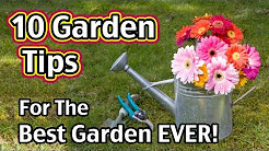 10 Garden Tips For The Best Garden EVER!