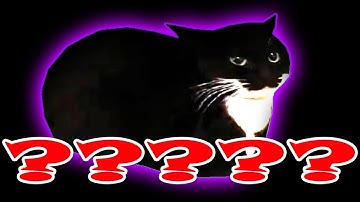 Sound Variations in 30 Seconds - 8 Maxwell The Cat #2