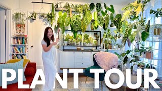 Discover my Living Room Jungle: 300+ Rare Houseplants!  | Part 1 of Ultimate Plant Tour