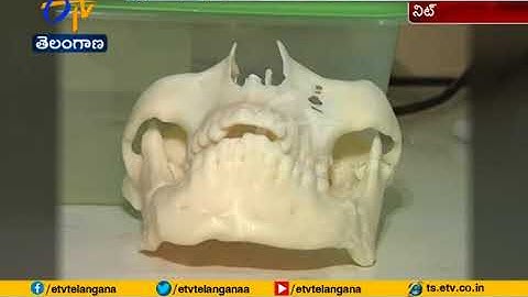 MTech Auditive Manufacturing Course | 3D Organ Making | Gets Demand at NIT Warangal