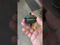Premium Yo Yo Unboxing SpinningTopTom 