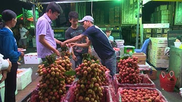 Vải thiều Bắc Giang tiêu thụ thuận lợi tại phía Nam