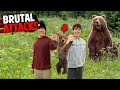 The most brutal bear attacks marathon 2