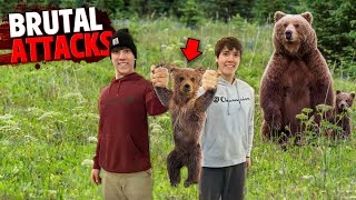 The Most BRUTAL Bear Attacks Marathon 2!