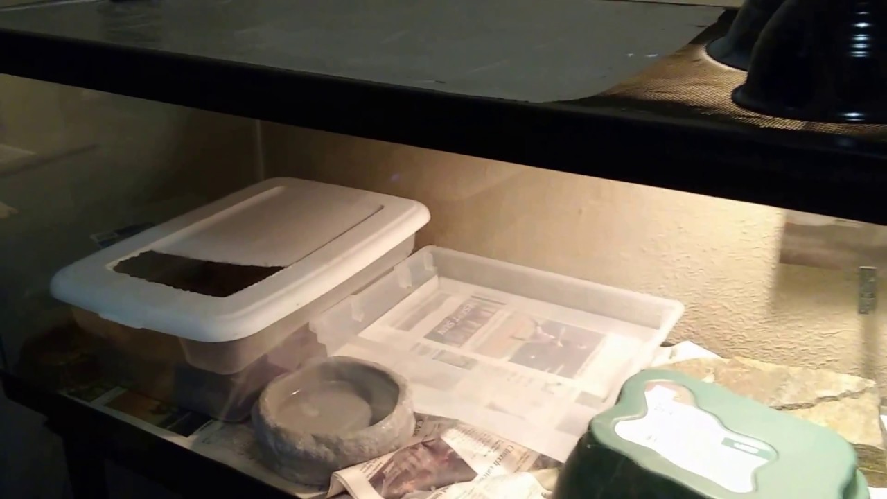 camera iphone 8 plus apk Matthew Arriaga