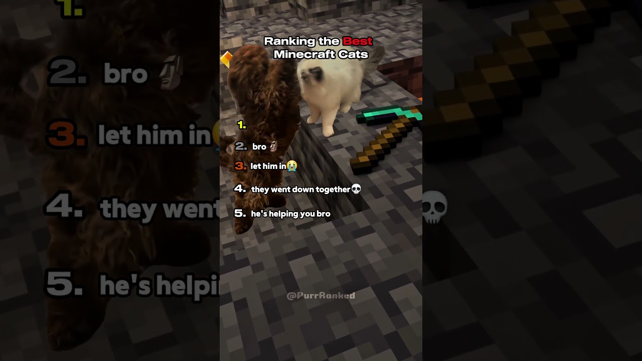 Ranking the Best Minecraft Cats 🐈😻  