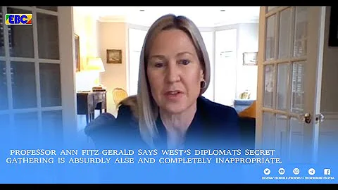 Professor Ann Fitz-Gerald says Wests Diplomats sec...