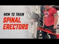 How to train your spinal erectors the right way