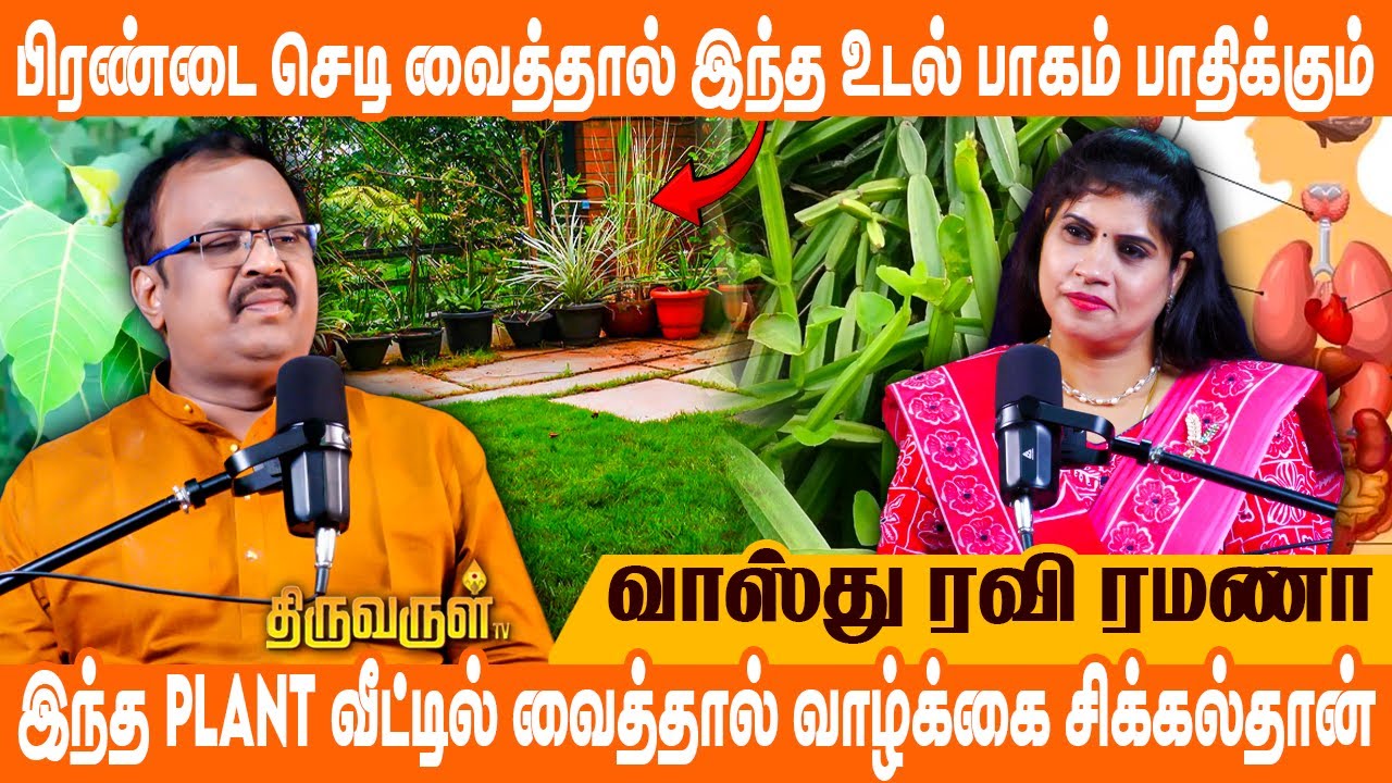 Diabetics வருவதற்கு காரணமே வீட்டில் இந்த செடி தான் | Vasthu Ravi Ramana | Thiruvarul TV