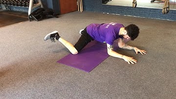 Frog Stretch w/Internal Rotation (dynamic)