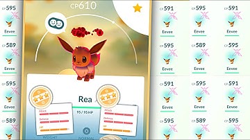 DO THIS AFTER EEVEE DYNAMAX WEEKEND!